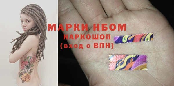 прущие грибы Абинск