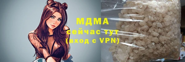 прущие грибы Абинск