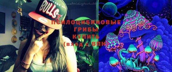 прущие грибы Абинск
