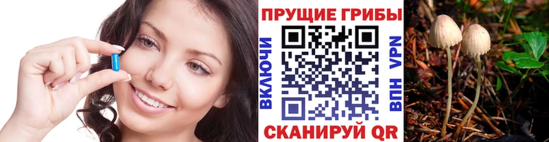 Галлюциногенные грибы Magic Shrooms  Тихорецк 